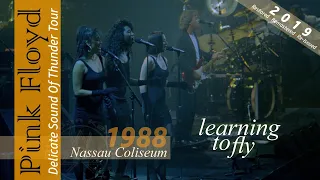 Pink Floyd - Learning To FІy | Nassau 1988 - Re-edited 2019 | Subs SPA-ENG