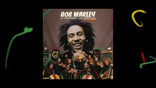 I Shot the Sheriff – Bob Marley and The Chineke! Orchestra (Visualizer)