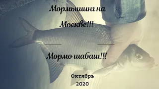 Мормышинг на сливе. Мормо шабаш или лещ в активе!!!!