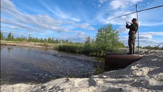 В каждой луже и в болоте у нас на севере  полно рыбы🎣. Летняя рыбалка 2021 года , рыбалка на шук...