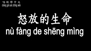 【唱歌學中文】►汪峰 – 怒放的生命◀ ► wāng fēng – nù fàng de shēng mìng◀『就像穿行在璀璨的星河 有超越平凡的力量』【動態歌詞中文、拼音Lyrics】