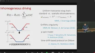 Diversity measure for discrete optimization: Sampling rare solutions via algorithmic quantum anne...