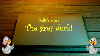 The Sally's story "The grey duck" (Серый утенок) на английском похожа на сказку "гадкий утенок"