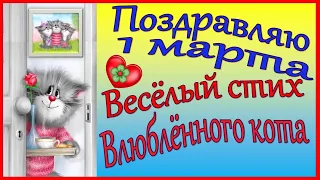 1 марта день кошек. Поздравление кота.