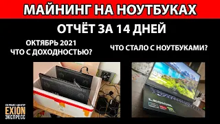 МАЙНИНГ НА НОУТБУКАХ ❗❗❗ ОТЧЁТ ЗА 14 ДНЕЙ ❗❗❗ ЧТО СТАЛО С НОУТБУКАМИ? БИТОК ВЗЛЕТЕЛ 🚀🚀🚀 ОКТЯБРЬ 2021