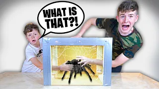 What's In The Box - FAMILY 4 CHALLENGE (Insects, Live Animals, Scorpions...)
