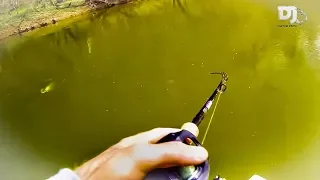 BIG Muskie/ Small Waters Hunting The Fish Of 10,000 Casts | DJ Custom Baits