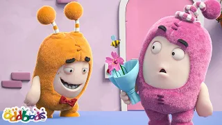 Honigbiene | Oddbods Deutsch | Cartoon For Kids