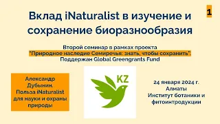 Польза iNaturalist для науки и охраны природы. Александр Дубынин