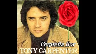 "MI PEQUEÑA FLOR"  Por  TONY CARPENTER
