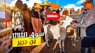 اليوم من سوق التلاتاء بن جرير اقليم الرحامنة بالمغرب 🇲🇦مع أثمنة الحولي عيد الأضحى🐑بتاريخ 07/05/2024