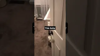 Baby Caught in the Act