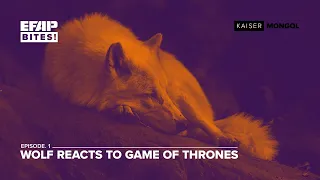 EFAP Bites! EP.1 - Wolf Reacts to Game of Thrones Season 8, Ep. 3.