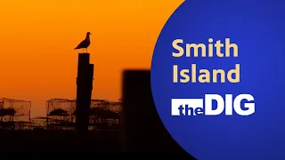 Smith Island | The Dig