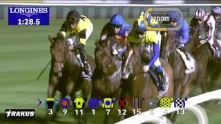 Race 8 - Dubai Sheema Classic Presented By Longines