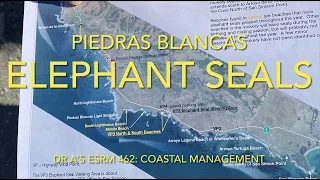 Elephant Seals Vista Point- November 2022