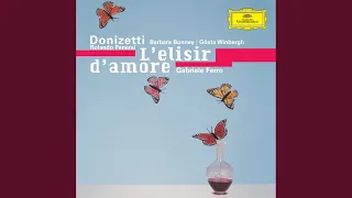 Donizetti: L'elisir d'amore / Act 2 - "Dell' elisir mirabile"