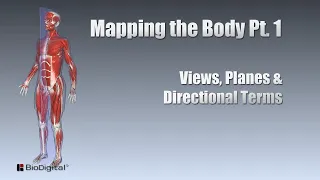 Mapping the Body... (Part 1)