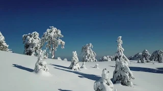 Крещение (Богоявление) Господа. Что не так в древнегреческом?