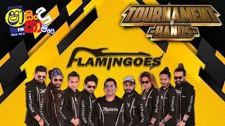 SHAA FM TOURNAMENT OF BANDS - FLEMINGOES