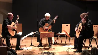 Vivaldi - Concerto in Re maggiore - Trio Triesis