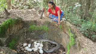 Found a lot big snake egg in pit - Cooking egg with chili sauce for food in forest