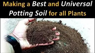 Making a best and universal potting soil for all plants