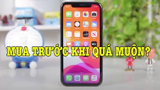 Tư vấn điện thoại: Mua iPhone 11 trước khi quá muộn?