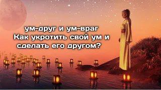 Как укротить свой ум и сделать его другом. Что такое УМ-ДРУГ И УМ-ВРАГ.