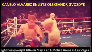 ***CANELO ALVAREZ ENLISTS OLEKSANDR GVOZDYK AS SPARRING PARTNER FOR BIVOL BOUT