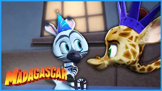 The Big Party 🎉 | DreamWorks Madagascar