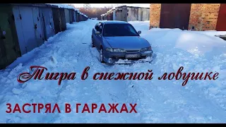 Тигра в снежной ловушке! ЗАСТРЯЛ В ГАРАЖАХ...