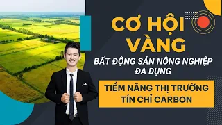 " Cơ hội vàng " bất động sản nông nghiệp đa dụng và tiềm năng thị trường tín  chỉ carbon