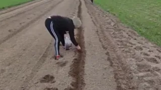 Садимо Солодку Кукурудзу без поливу. Новинка на ринку синьо жовта🌽 фірми Мнагор