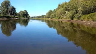 За Волгой. Новочебоксарск. Прогулка по острову, спасение карасиков и немножко о ремонте. 15 августа.