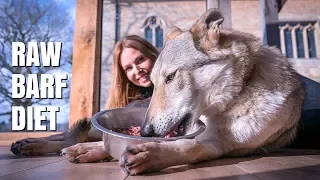 RAW FOOD FOR DOGS - THE BARF DIET / Animal Watch