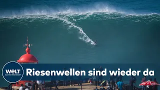 MONSTERWELLEN SURFEN: Im portugiesischen Nazaré trifft sich die Elite der Extremsurfer