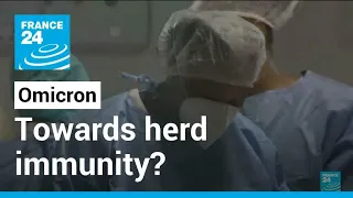 Coronavirus pandemic: Could Omicron help reach herd immunity? • FRANCE 24 English