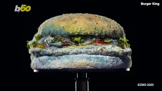 The Mold & the Beautiful! Burger King Releases Ad Showcasing ‘Beautiful’ Moldy Whopper