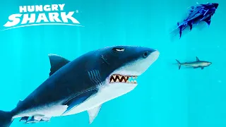 БОЛЬШАЯ БЕЛАЯ СМЕРТОНОСНАЯ АКУЛА - HUNGRY SHARK EVOLUTION