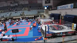 Bestfighter 2019 saturday ring