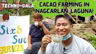 Techno-Gala: Cacao Farming in Nagcarlan, Laguna - Susan U. Bagsit, Magsasaka Siyentista