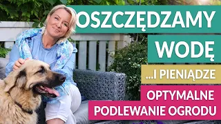 NASZ OGRÓD - optymalne podlewanie. Jak zaoszczędzić wodę i utrzymać piękno roślin? | GREEN CANOE