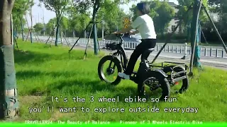 Most popular best electric Tricycle 48V 1000W  3 Wheel ebike Trike Cargo Tricycle for your review