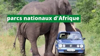 Top 10 des plus grands parcs nationaux d'Afrique