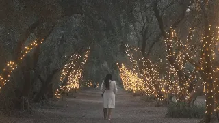 A Birthday in the Lavender Fields (Sony FX3)