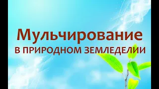 Природное земледелие - Мульчирование