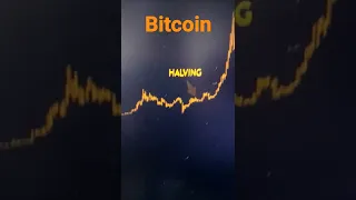 Bitcoin Halving with Price Action