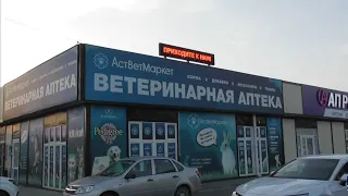 Энциклопедия ветеринарных препаратов для голубятников!