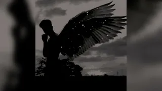 angel by the wings (slowed + reverb) sia